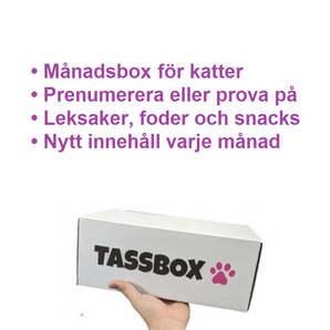 Potekasse kat