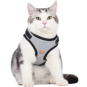 Duomm Kattsele med reflex