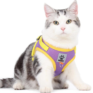 Duomm Kattsele med reflex