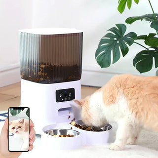 Foderautomat katt – Bäst i test 2026