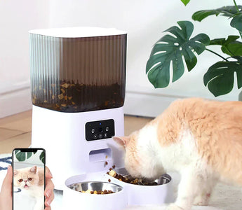 Foderautomat katt – Bäst i test 2026