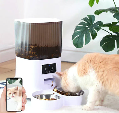 Foderautomat katt – Bäst i test 2026