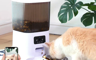 Foderautomat katt – Bäst i test 2026