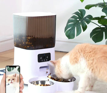 Foderautomat katt – Bäst i test 2026