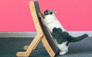 Klösbräda för katt – Smart & prisvärt alternativ till klösträd
