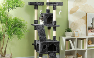 Klösträd för katt – Bäst i test 2026 (Så väljer du rätt klösträd)