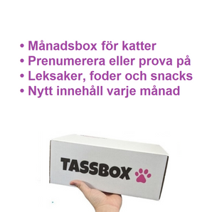 Pfotenbox Kat