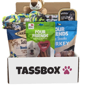 Tassbox Hund