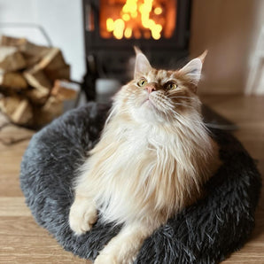 Fluffy Cozy Cat Bed