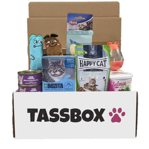 Tassbox Katt