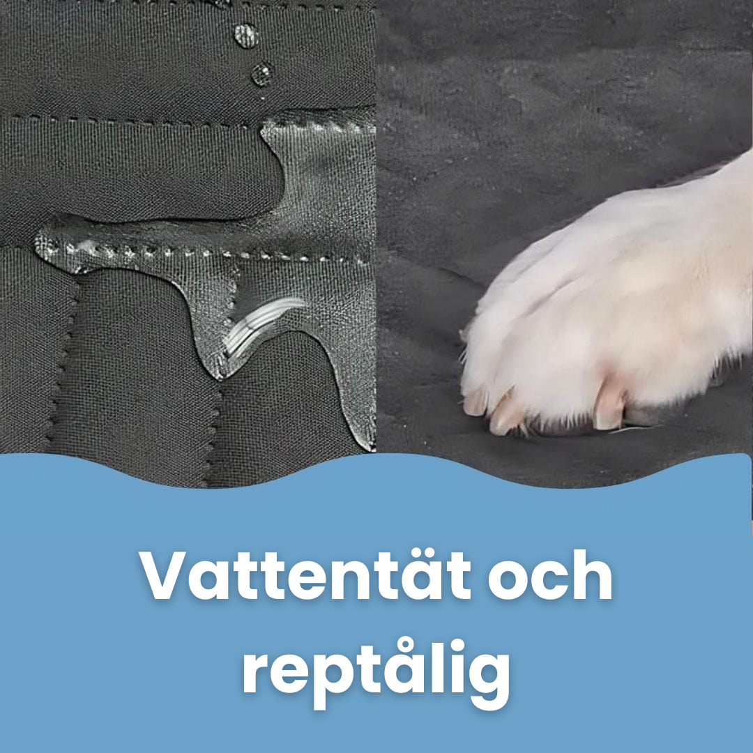 Auton takaistuimen suoja