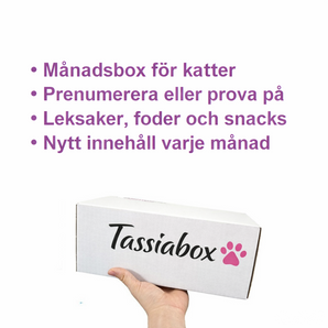 Tassiabox Katt