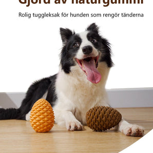 Tassia Chewy Pinecone - Tuggleksak för hund