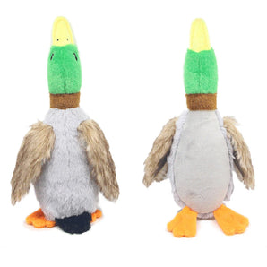 Squeaky Duck Hundleksak