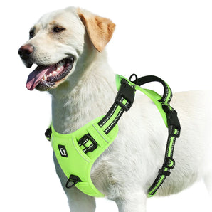 EasyWalk Hundsele - Sele med anti-drag funktion