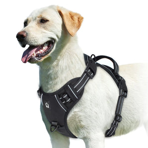 EasyWalk Hundsele - Sele med anti-drag funktion