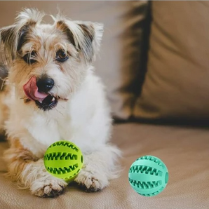 Tassia Chewy Ball - Tyggelegetøj til hunde