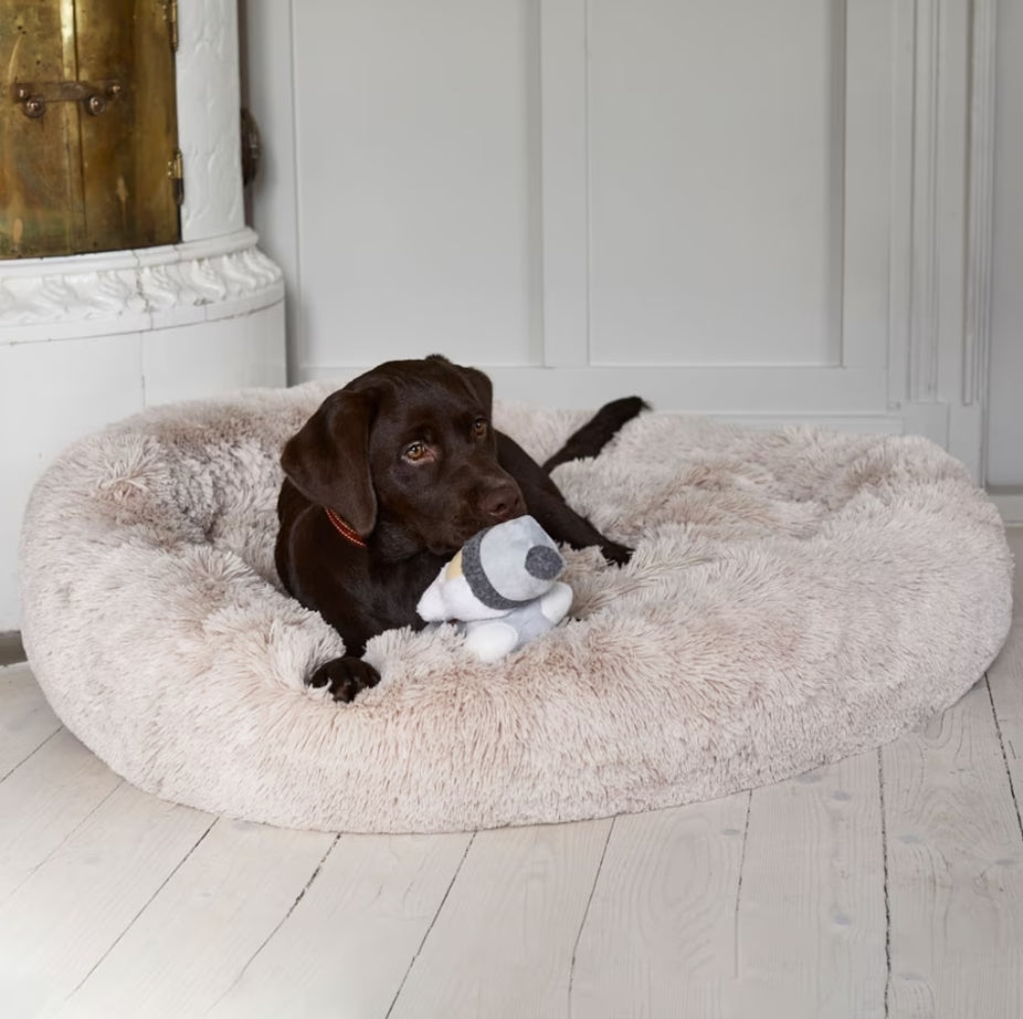 CozyBed - Mysig bädd som motverkar stress