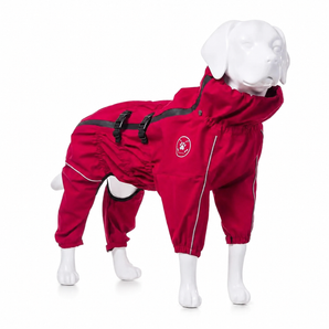 EasyWalk regnoverall för hund