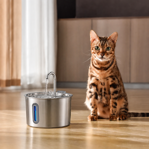 KattKällan 2.0 Mini + Kit