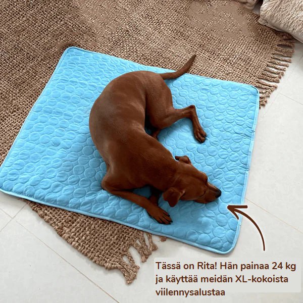 CoolPaws-jäähdytysmatto