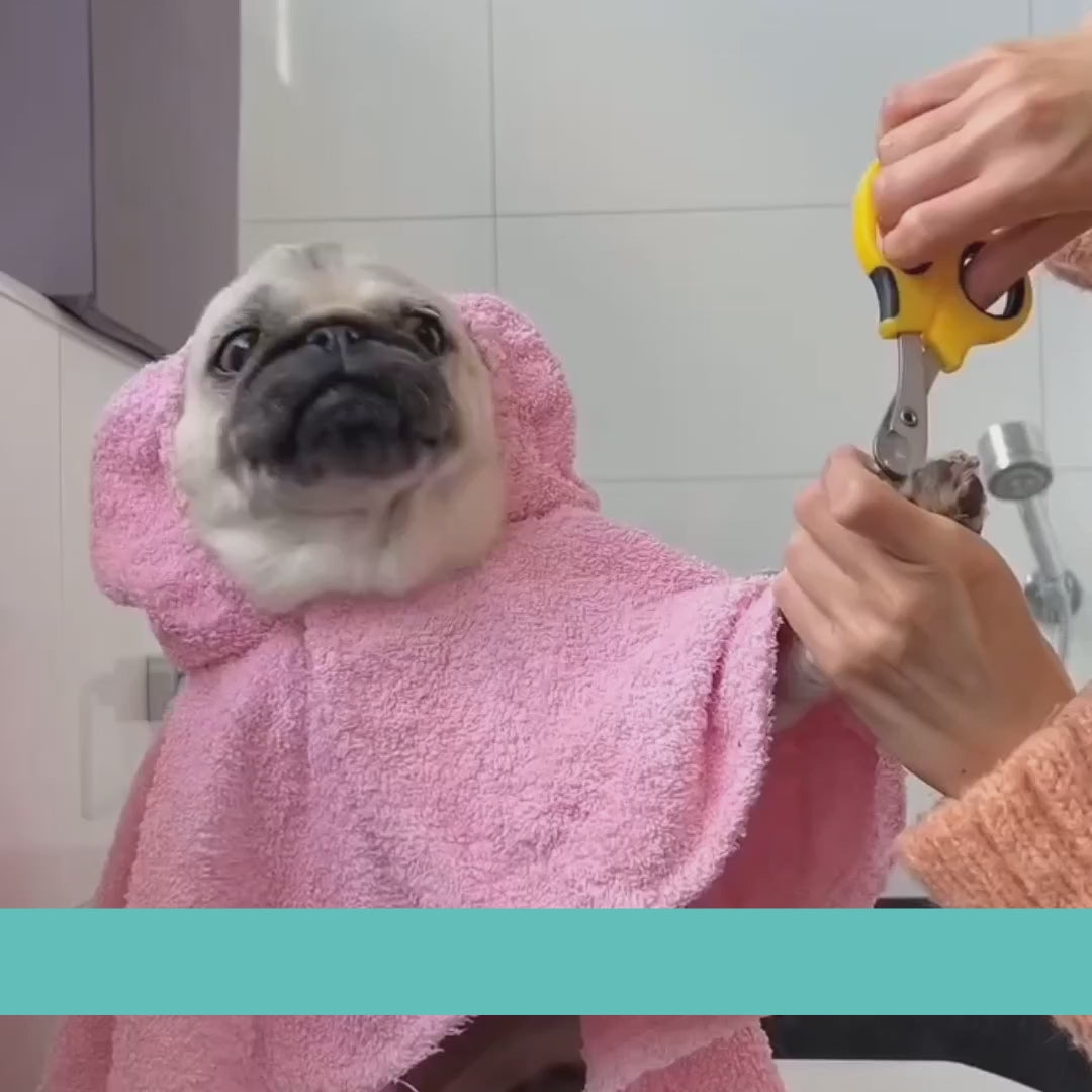 Elektrisk kloslip för hund och katt
