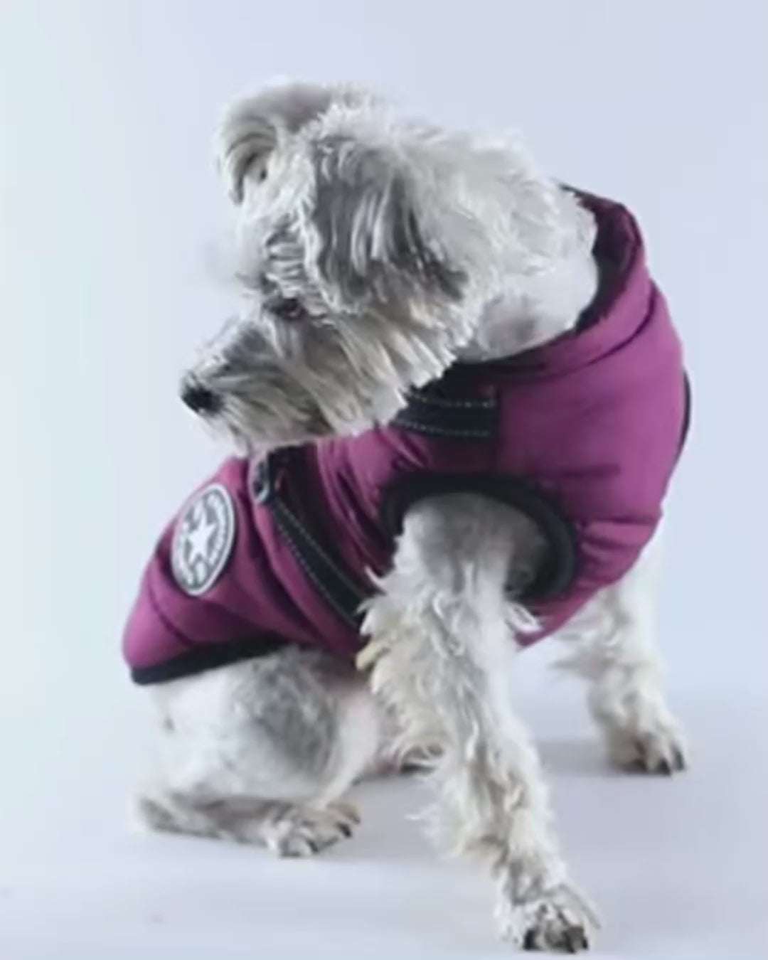 Hundejacke mit integriertem Geschirr