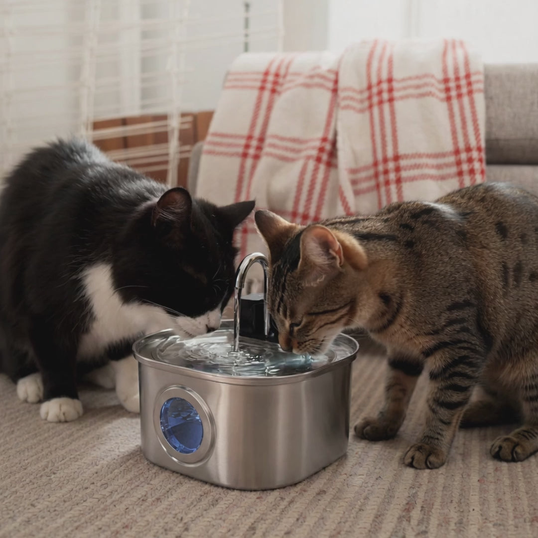 KattKällan 3.0 - Trådlös vattenfontän för katt