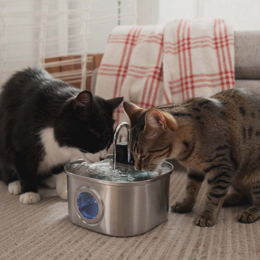 KattKällan 3.0 - Trådlös vattenfontän för katt