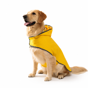 Rainby vattentät regnkappa för hund