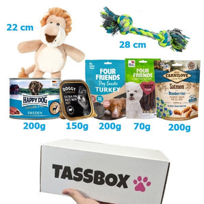 Tassbox Hund