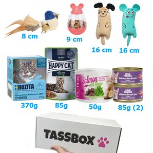 Tassbox Katt