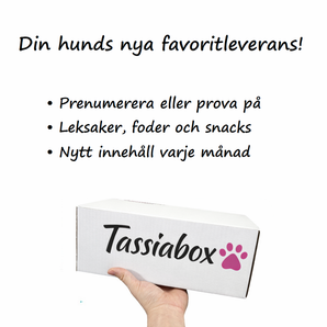Tassbox Hund