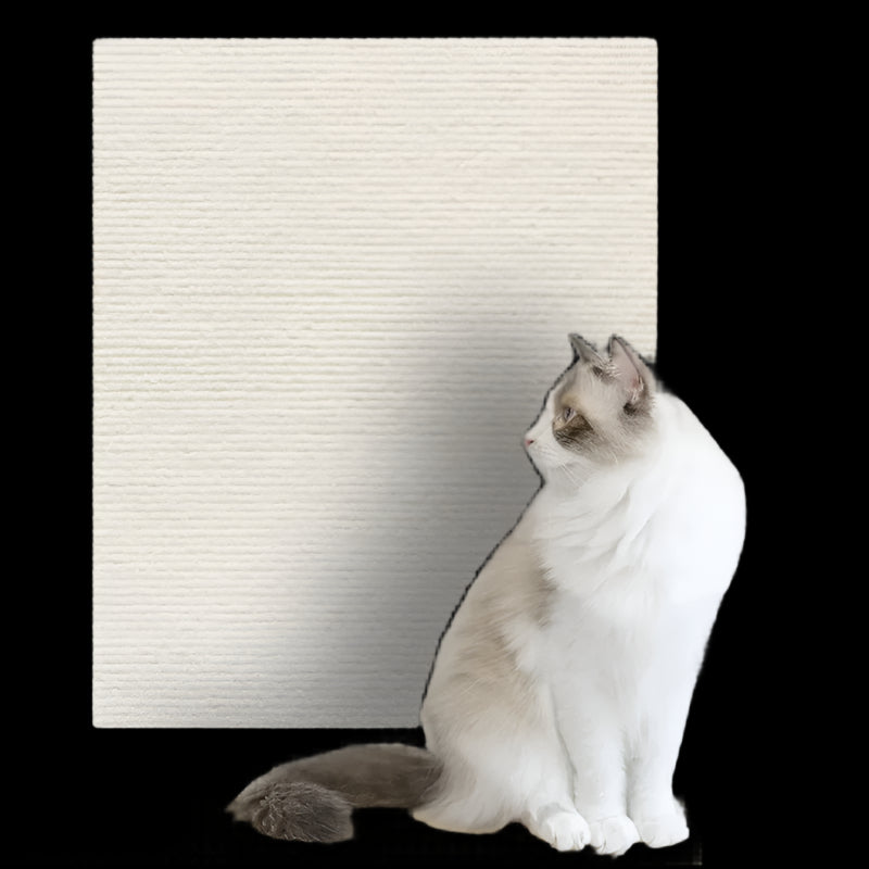 ScratchPro Anti-Kratz-Matte