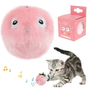 Zwitschernder Katzenball